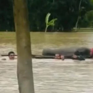 চারদিকে বন্যার পানি, ভেলায় ভাসিয়ে লাশ নেওয়া হলো ২ কিমি দূরের কবরস্থানে