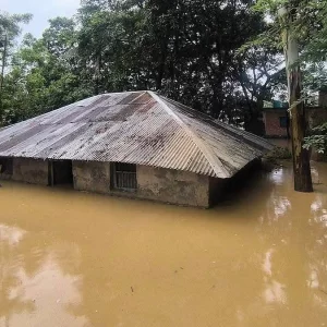 অতিবৃষ্টি ও পাহাড়ি ঢলে ৭ জেলায় বন্যা, প্রাণহানি বেড়ে ৪৪