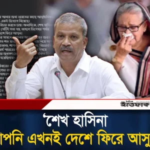 ‘ডিসেম্বর পর্যন্ত অপেক্ষা কেন, এখনই দেশে ফিরুন’- শেখ হাসিনাকে আসিফ নজরুল