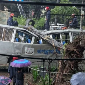 গাছ উপড়ে পড়ে দুমড়ে মুচড়ে গেলো জবির বাস