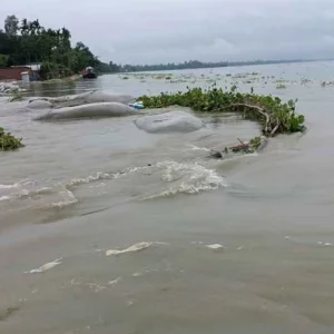 ৩ নদীর পানি বিপৎসীমার ওপরে, সতর্কসীমায় আরও কয়েকটি নদী 