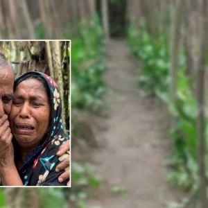 পানের বরজ কেটে দেওয়ায় অঝোরে কাঁদলেন অসহায় বৃদ্ধ