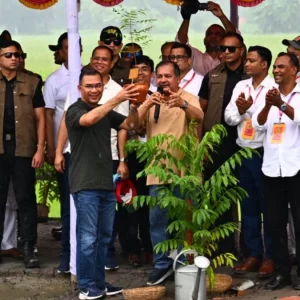 শিক্ষার্থীদের প্রতিবছর একটি করে গাছ লাগানোর আহ্বান প্রধানমন্ত্রীর