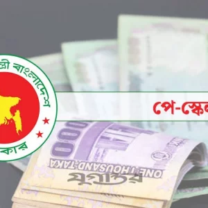 নবম পে স্কেলে ইনক্রিমেন্ট পাবেন ৪ ক্যাটাগরিতে, কোন গ্রেডে কত সুবিধা