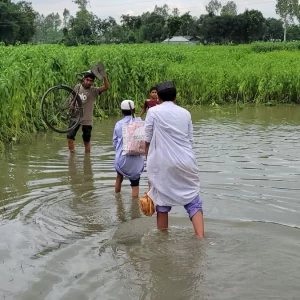 কুড়িগ্রামের ফুলবাড়ীতে চার বছরেও মেলেনি একটি ব্রিজ, বিচ্ছিন্ন দেড় হাজার পরিবার