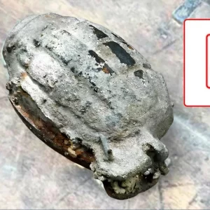পদ্মায় জেলের জালে মাছের বদলে উঠে এলো গ্রেনেড