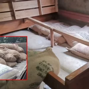 ভোলায় মুদি দোকানির খাটের নিচে মিললো সরকারি চাল 