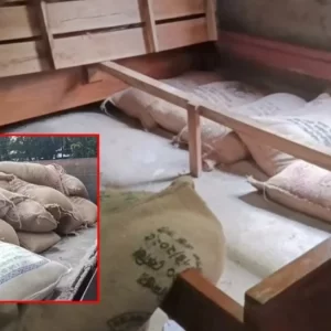 খাটের নিচে সরকারি চাল মজুতের ঘটনায় মামলা, স্বামী পলাতক, স্ত্রী হাজতে