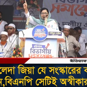‘খালেদা জিয়ার স্বপ্নের সংস্কারের সঙ্গেই প্রতারণা করেছে বিএনপি’