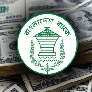 জুলাইয়ের ১৮ দিনে এলো ১৮০ কোটি ডলারের রেমিট্যান্স