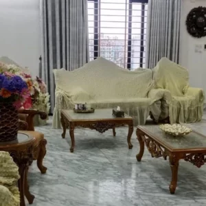 জিয়াউল আহসানের জলসিঁড়ির বাড়িতে দুদকের অভিযান, করা হচ্ছে সম্পদের তালিকা