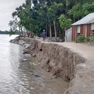 নাগেশ্বরীতে এক মাসে বিলীন তিন শতাধিক ঘরবাড়ি