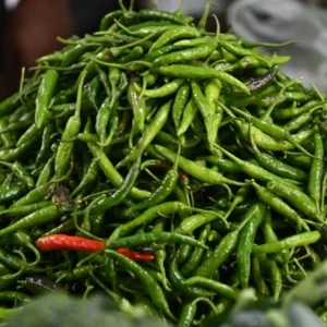 বৃষ্টির দাপটে কাঁচা মরিচের কেজি ২০০ টাকা ছাড়াল