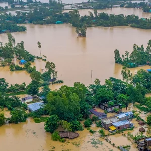 বন্যায় চট্টগ্রাম বিভাগে প্রাণিসম্পদ খাতে ৭৭ কোটি টাকার ক্ষতি