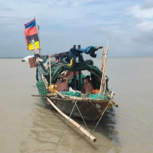 ৫ বছরের তুলনায় পদ্মায় ইলিশ আহরণ ৮২৩ মেট্রিক টন কমেছে