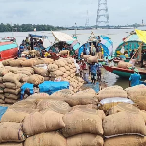 চাল আমদানির গুজবে আশুগঞ্জে ধান-চালের বাজারে ধস