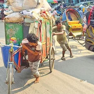 রাজধানীর বাসাবাড়ি থেকে ভ্যানে ময়লা নেওয়ার ফি আদায় বন্ধে রিট