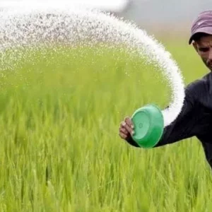 বাংলাদেশের কাছে টনপ্রতি ১০ ডলার কমে ইউরিয়া সার বিক্রির প্রস্তাব রাশিয়ার