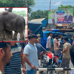 সড়কে হাতি নিয়ে চাঁদাবাজি, হুড়োহুড়িতে গাড়িচাপায় প্রাণ গেল ১০ মাসের শিশুর