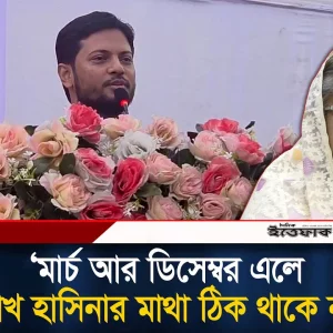 মার্চ আর ডিসেম্বর এলে শেখ হাসিনার মাথা ঠিক থাকে না: জাহিদুল ইসলাম