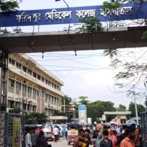 গর্তে হাত দিতেই সাপের ছোবলে ফরিদপুরে প্রাণ গেল নারী ও শিশুর