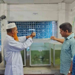 আড়িয়াল বিলের পাঁচ প্রজাতির মাছে মাইক্রোপ্লাস্টিক, সবচেয়ে বেশি কই মাছে