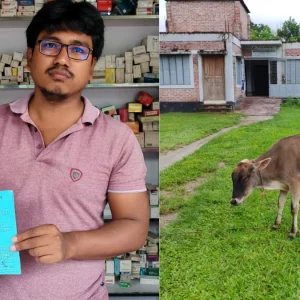 কিস্তির টাকা নিয়ে শঙ্কা, গ্রাহকের গরু নিয়ে গেলেন এনজিও কর্মীরা