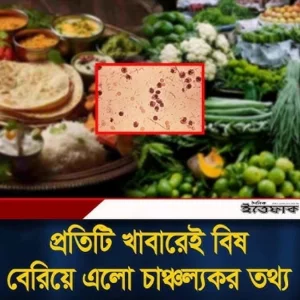 প্রতিটি খাবারেই বি'ষ, বেরিয়ে এলো চাঞ্চল্যকর তথ্য
