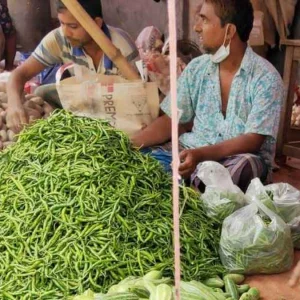 মুরগি-দুধ-ডিমের দামে ঊর্ধ্বগতি, আমদানিতে কমেছে কাঁচা মরিচের ঝাঁজ