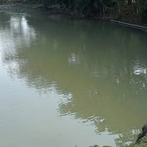 বাড়ির পাশের গর্তের পানিতে ডুবে দুই ভাইয়ের মৃত্যু