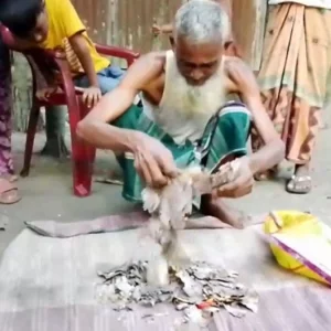 আলমারিতে জমানো ২ লাখ টাকা খেলো ইঁদুর-উইপোকা, নিঃস্ব কৃষক