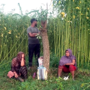 জীবননগর সীমান্তে বিএসএফের পুশইন চেষ্টা, প্রতিহত করল বিজিবি