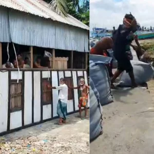 জাজিরায় পদ্মার ভাঙন, ঘর সরাচ্ছেন নদীতীরের বাসিন্দারা