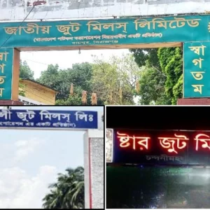 চালু হচ্ছে বন্ধ থাকা রাষ্ট্রায়ত্ত ৩ পাটকল, সৃষ্টি হবে ১১ হাজার মানুষের কর্মসংস্থান