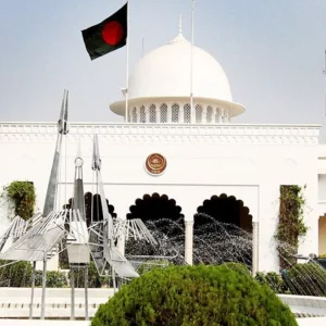 যেভাবে প্রকাশ্য ভোটে নির্বাচিত হবেন রাষ্ট্রপতি