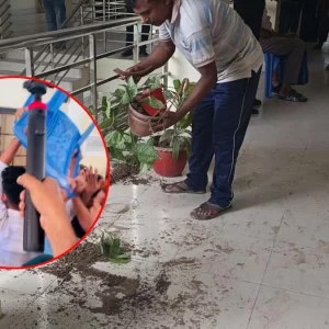 নাটোরে দুই ইউএনওর কার্যালয় ঘেরাও করে ছাত্রদল-যুবদলের ভাঙচুর