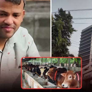 অগ্রণী ব্যাংকের ভল্ট থেকে ৪ কোটি টাকা সরিয়ে খামারে বিনিয়োগ, ক্যাশ ইনচার্জসহ গ্রেপ্তার ২
