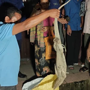 খাগড়াছড়িতে পাঁচ বস্তা থেকে ২৪টি গুইসাপ উদ্ধার, নারী আটক
