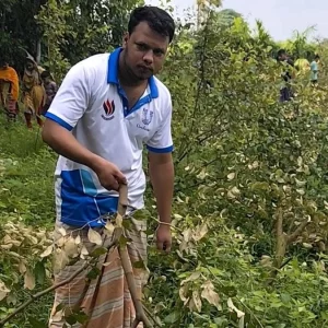 দুই ভাইয়ের শ্রমে গড়া বাগানের ২০০ গাছ কেটে ফেলেছে দুর্বৃত্তরা