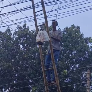 ভোর থেকে বোমাতঙ্ক,  উদ্ধারের পর সাউন্ড বক্সে বেজে উঠল বঙ্গবন্ধুর ভাষণ
