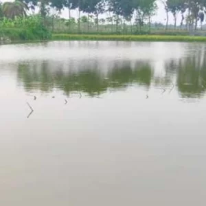 মাদারীপুরে পানিতে ডুবে দুই শিশুর মৃত্যু