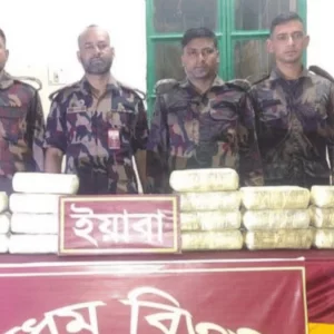উখিয়ায় বিজিবির অভিযানে ৬ কোটি টাকার ইয়াবা উদ্ধার