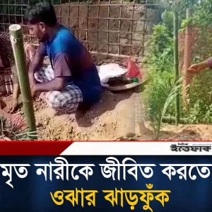 সাপের কা'মড়ে মৃ'ত নারীকে ‘জীবিত’ করতে ক'ব'রের পাশে ওঝার ঝাড়ফুঁক