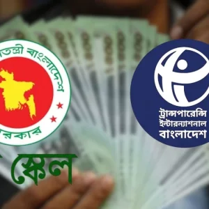 সম্পদ বিবরণী প্রকাশের শর্তে নতুন বেতনস্কেল বাস্তবায়নের আহ্বান টিআইবির