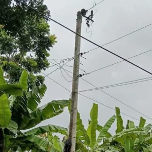 ট্রান্সফরমার নিয়ে গেছে চোর, ক্ষতিপূরণের টাকা দিতে হবে গ্রাহকদের!