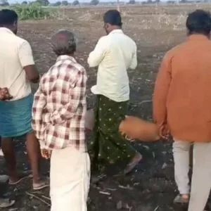 মায়ের রক্তাক্ত-নিথর দেহ আঁকড়ে ধরে কাঁদছিল দেড় বছরের শিশু
