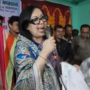 সরকারকে দোষ দেই না, নানা খরচে সরকার বিপর্যস্ত: রুমিন ফারহানা
