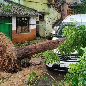 ঘূর্ণিঝড় অর্ণবের তাণ্ডবে ভারতের অন্ধ্র প্রদেশে পাঁচ জনের মৃত্যু