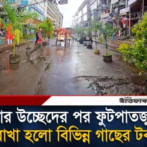 হকার উচ্ছেদের পর ফুটপাতজুড়ে রাখা হলো বিভিন্ন গাছের টব