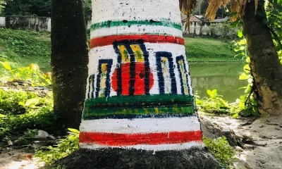 গাছের গায়ে রং তুলির খেলা!
